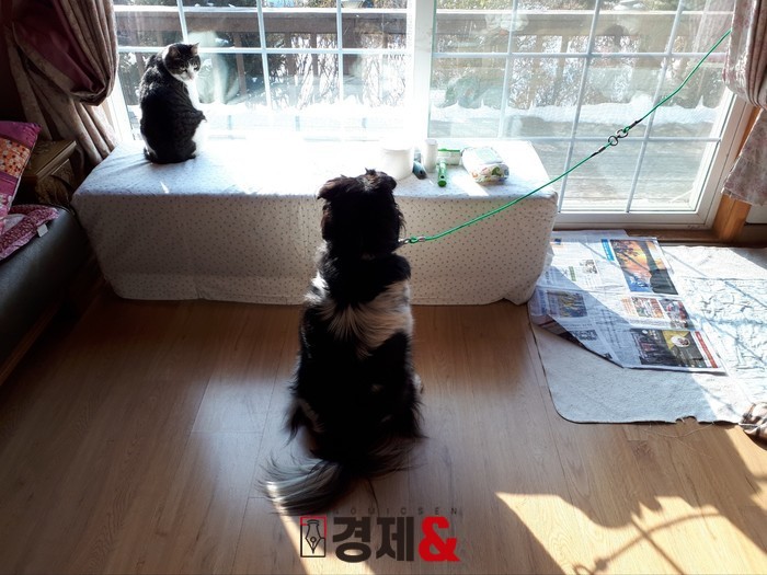 자유공간음식점 이미지